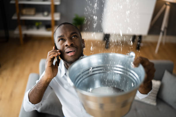 Best Flood damage cleanup  in Concord, MO