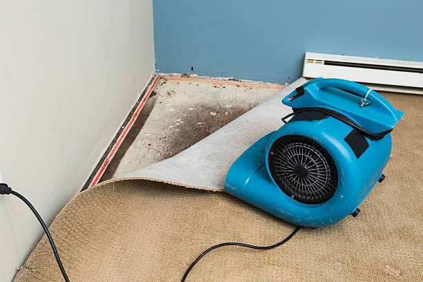 Best Carpet water damage restoration  in Concord, MO